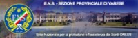 LOGO ENS VARESE